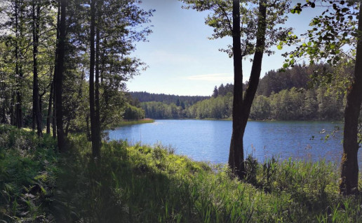 22. Meironu gamtos takas foto G. Kukanausko.jpg